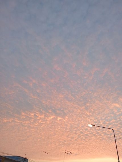 chat looking for friends 