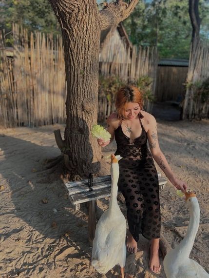 แชท หาเพื่อนคุย 