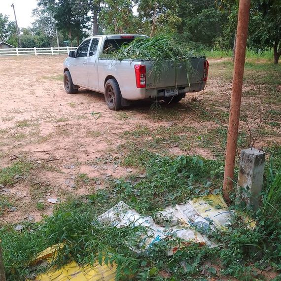 แชท หาแฟน, หาเพื่อนคุย 