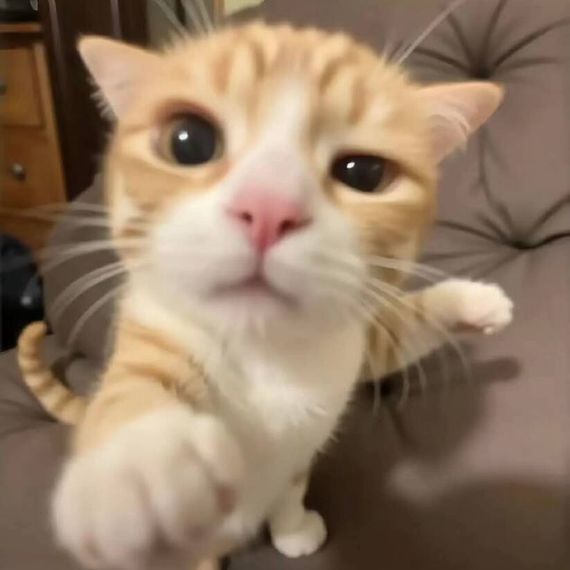 แชท หาแฟน, หาเพื่อนคุย 