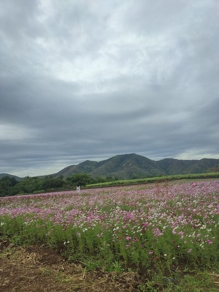 แชท หาเพื่อนคุย, หาเพื่อนเที่ยว 