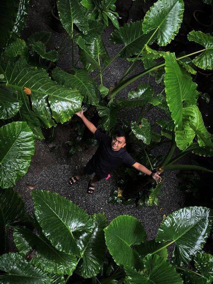 chat looking for friends 