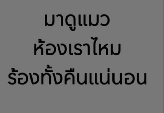 แชท หาแฟน, หาเพื่อนคุย 