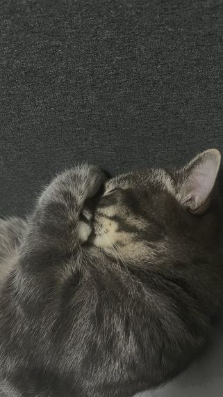 แชท หาเพื่อนคุย, หาเพื่อนเที่ยว 