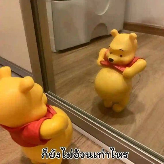 แชท หาเพื่อนคุย, โสด 