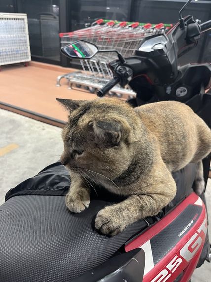 แชท หาแฟน, หาเพื่อนคุย  ที่อยู่ กรุงเทพมหานคร