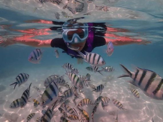 chat looking for friends 