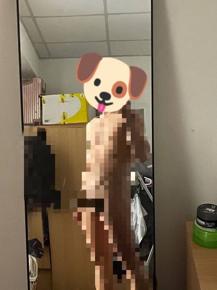 chat looking for friends 