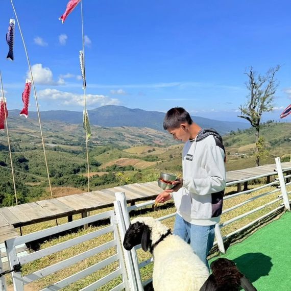 chat chat, find line friends 