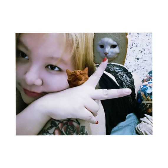 แชท หาเพื่อนคุย, หาเพื่อนเที่ยว  ที่อยู่  สมุทรปราการ