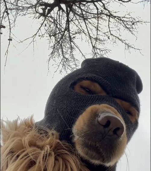chat looking for friends 