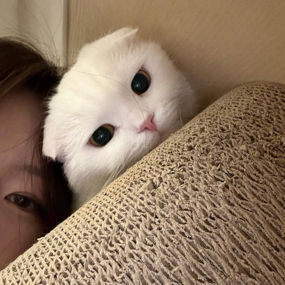แชท หาเพื่อนคุย  ที่อยู่ กรุงเทพมหานคร