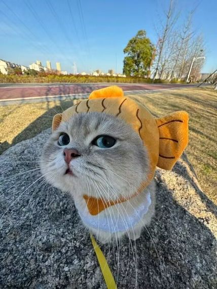 chat chat, hangout from Pathum Thani