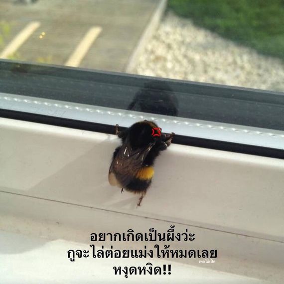 แชท หาเพื่อนคุย, หาเพื่อนเที่ยว  ที่อยู่  ปทุมธานี