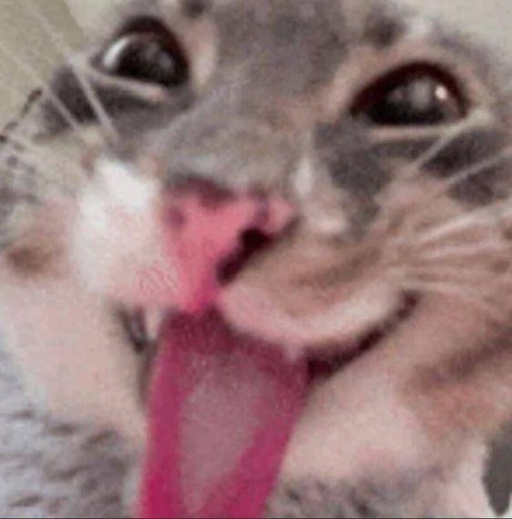 chat chat, hangout 