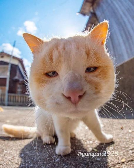 แชท หาเพื่อนคุย  ที่อยู่ กรุงเทพมหานคร