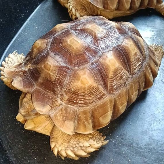 chat looking for friends 