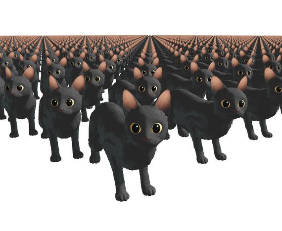 chat looking for friends 