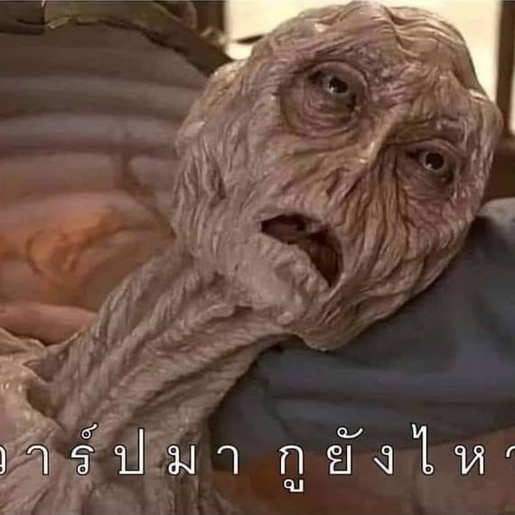 แชท หาแฟน, หาเพื่อนคุย 
