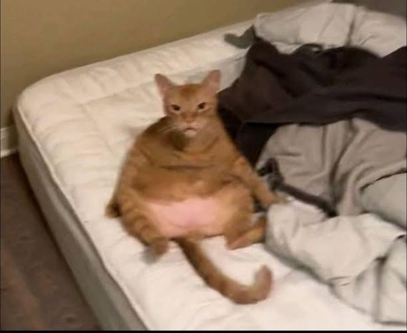 แชท หาเพื่อนไลน์  ที่อยู่  พระนครศรีอยุธยา