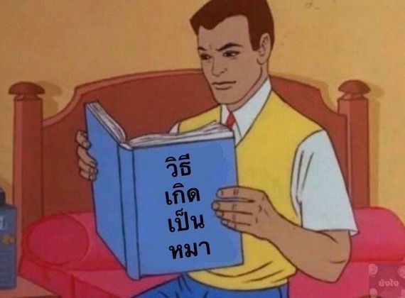 แชท หาเพื่อนคุย