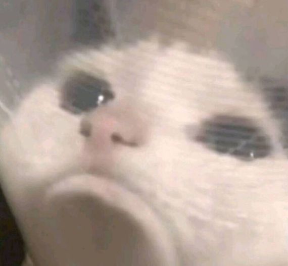 แชท หาเพื่อนคุย  ที่อยู่  สมุทรปราการ