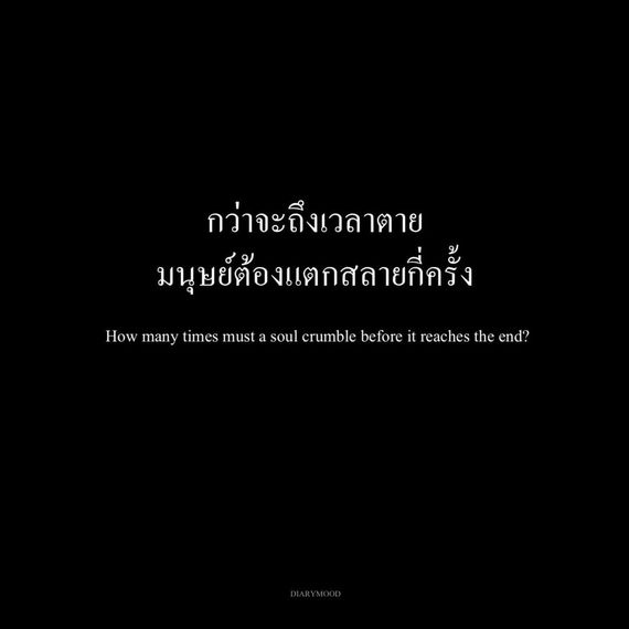 แชท โสด 