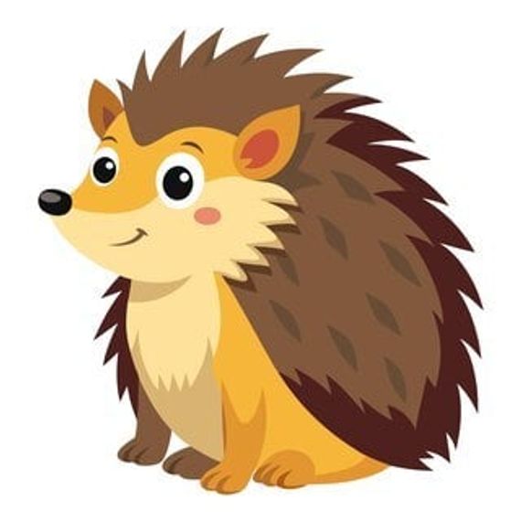 แชท แชทเปิดกล้อง  ที่อยู่  เชียงใหม่