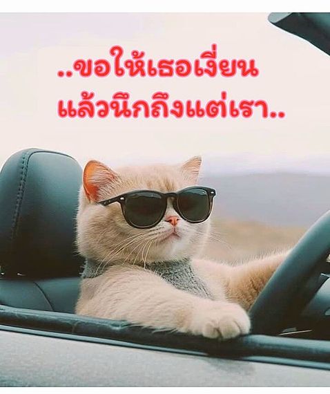 แชท หากิ๊ก, โสด ที่อยู่ ลำปาง