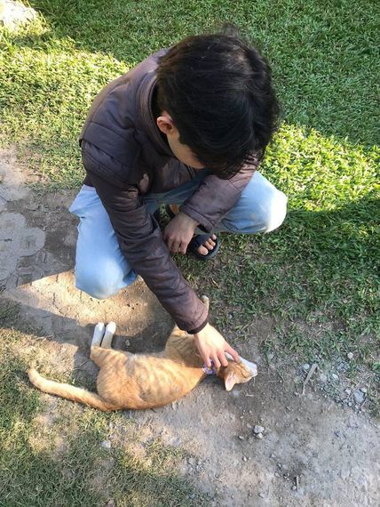 แชท หาเพื่อนคุย, หาเพื่อนเที่ยว  ที่อยู่  เชียงใหม่