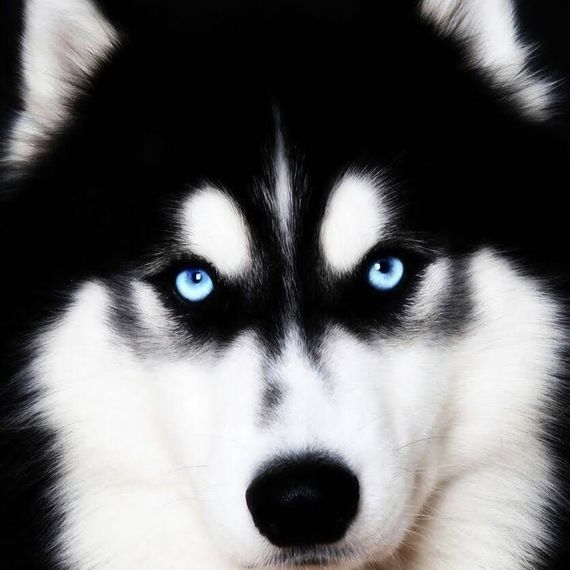 แชท หาเพื่อนคุย, หาเพื่อนไลน์