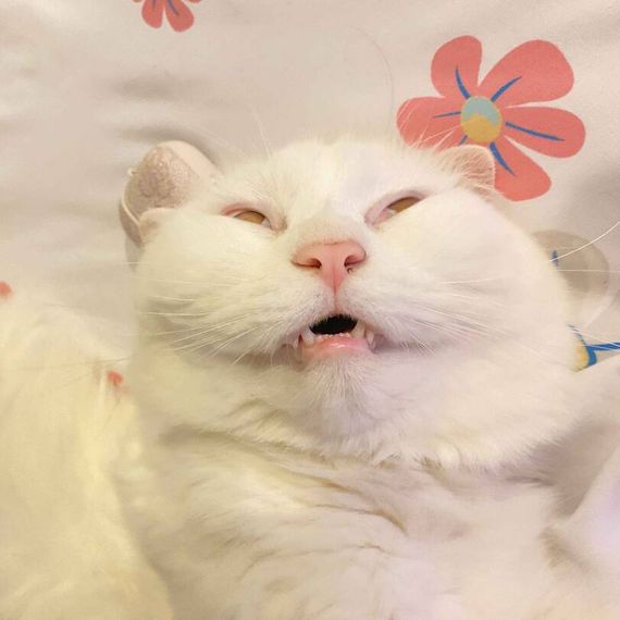 แชท หาแฟน, หาเพื่อนคุย ที่อยู่ นนทบุรี