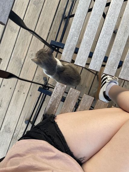 chat looking for friends 