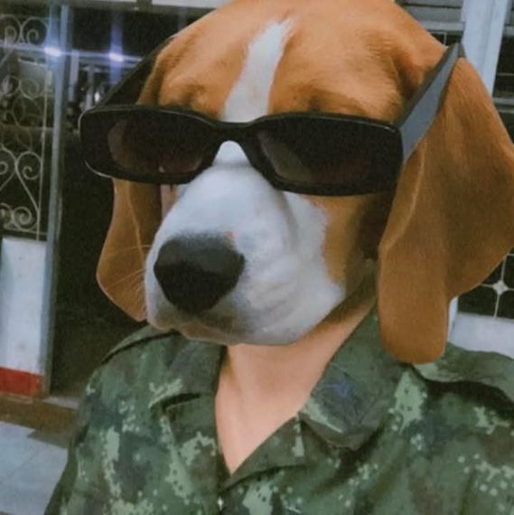 แชท แชทเปิดกล้อง 