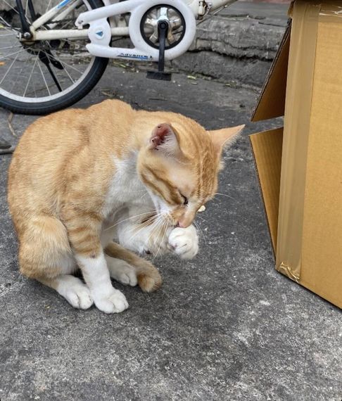 แชท หาเพื่อนคุย 