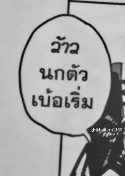 แชท โสด 