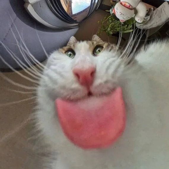 แชท หาเพื่อนคุย  ที่อยู่ กรุงเทพมหานคร
