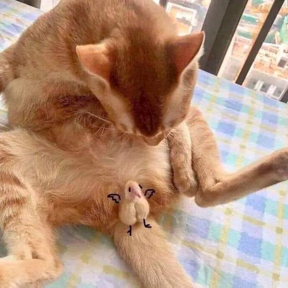 แชท หาแฟน, หาเพื่อนคุย  ที่อยู่  ชลบุรี