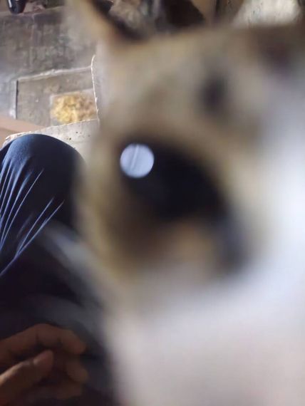 แชท หาเพื่อนคุย  ที่อยู่  ชลบุรี