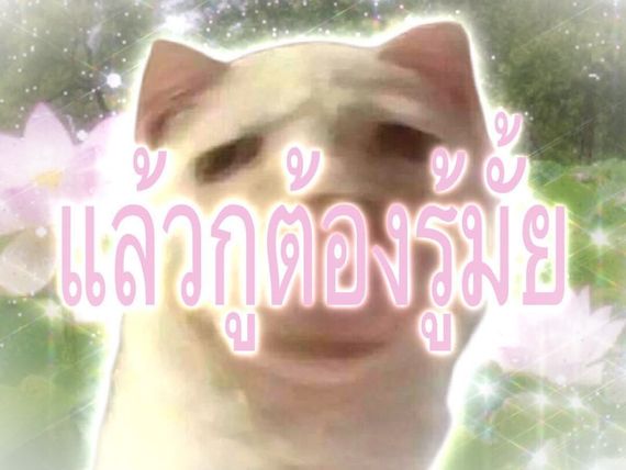 แชท หาแฟน, หากิ๊ก ที่อยู่ กรุงเทพมหานคร