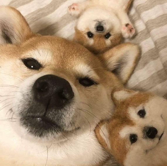 แชท หาเพื่อนคุย, หากิ๊ก 