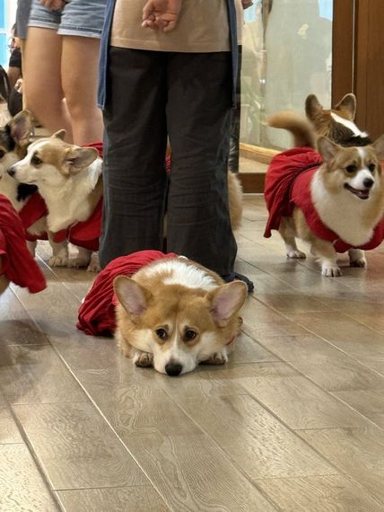 แชท หาเพื่อนคุย, หาเพื่อนเที่ยว 