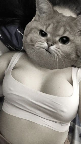 แชท หาเพื่อนเที่ยว, โสด  ที่อยู่  พิษณุโลก