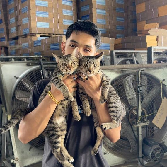 แชท หาเพื่อนคุย 
