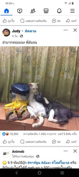 แชท หาเพื่อนคุย 