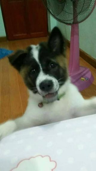 แชท หาเพื่อนคุย, หาเพื่อนเที่ยว 