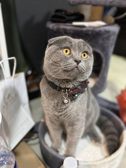 แชท หาแฟน, หาเพื่อนคุย 