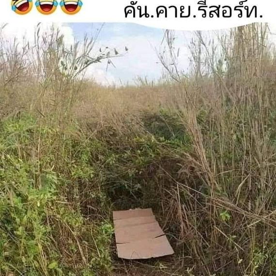 แชท หาแฟน, หาเพื่อนคุย  ที่อยู่  พิษณุโลก