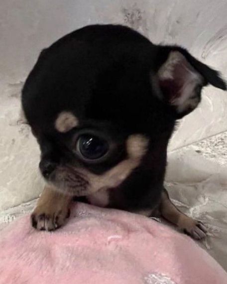 chat looking for friends 