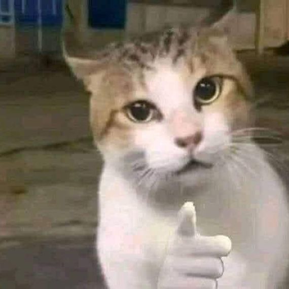 แชท หาเพื่อนคุย  ที่อยู่  ปทุมธานี